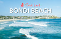 all things – bondi beach